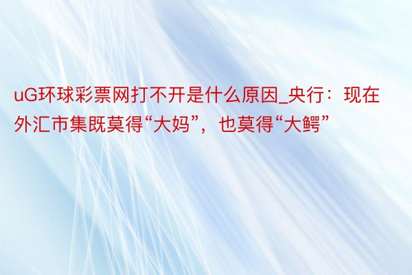 uG环球彩票网打不开是什么原因_央行：现在外汇市集既莫得“大妈”，也莫得“大鳄”