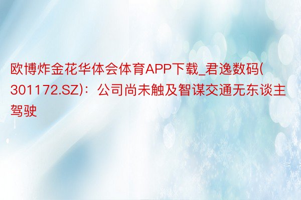 欧博炸金花华体会体育APP下载_君逸数码(301172.SZ)：公司尚未触及智谋交通无东谈主驾驶