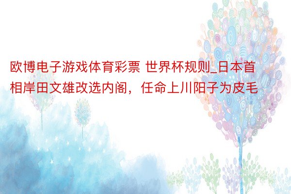 欧博电子游戏体育彩票 世界杯规则_日本首相岸田文雄改选内阁，任命上川阳子为皮毛
