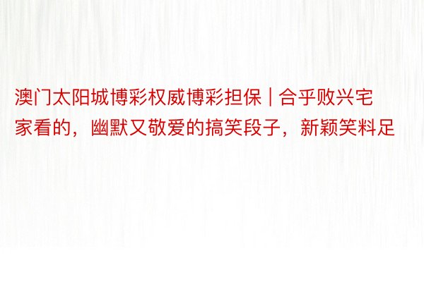 澳门太阳城博彩权威博彩担保 | 合乎败兴宅家看的，幽默又敬爱的搞笑段子，新颖笑料足